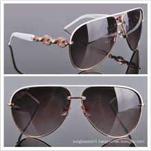 Acetate Sunglasses/ 2013 Top Fashion Sunglasses/ Sunglasses
